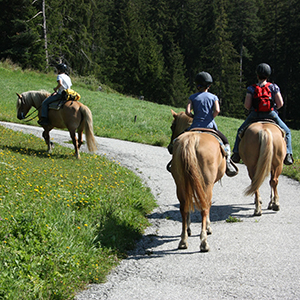 Excursions with horses