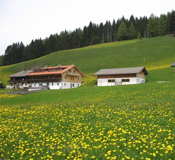 Hackerhof in spring