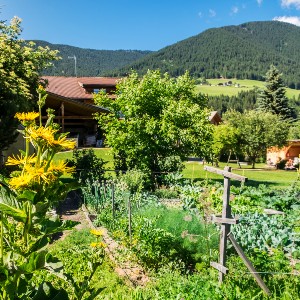 our farm garden