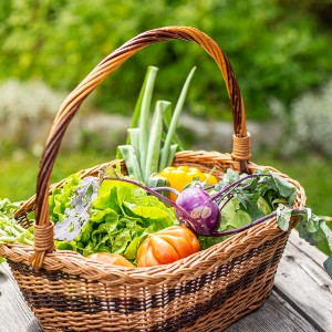 garden at the farm